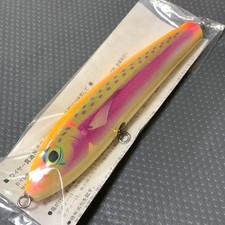 Rare Carpenter Bluefish 100 Nirami Hama-dai