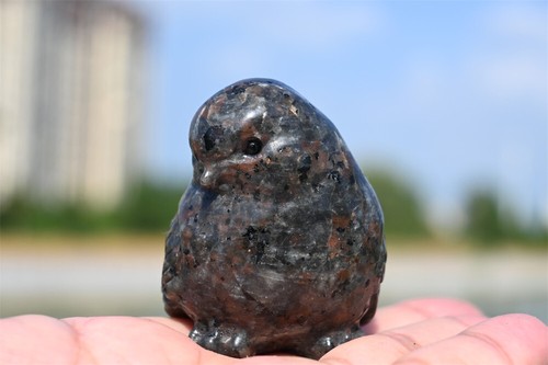 2,4 Zoll natürlicher Yooperlite Vogel Reiki Kristall Schädel kreativ geschnitztes Dekor Geschenk 1 Stck. - Bild 4 von 12
