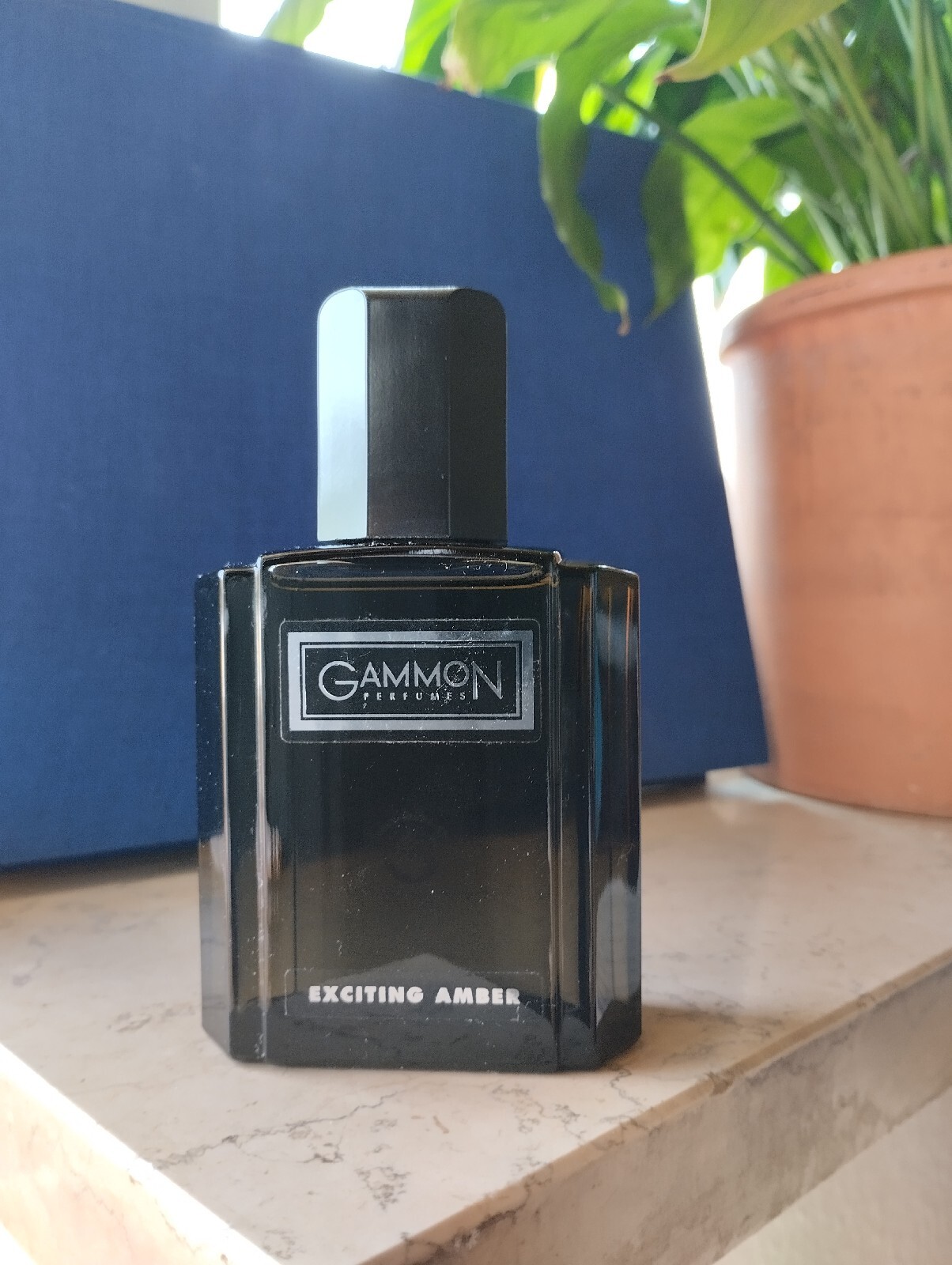 *Vintage*Rare* Sehr seltene* Gammon Eau de Toilette/After Shave 100ml