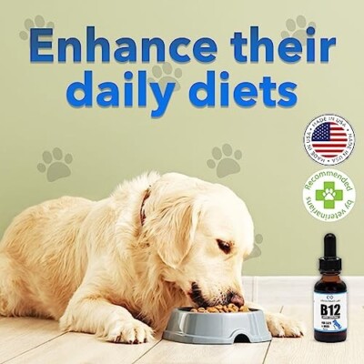 where to give b12 injection in thigh Vitamin B12 for Dogs: What You Need to Know main image 1