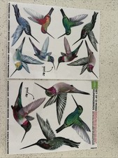 12 Hummingbird Window Clings - Anti-Collision Decals Gift