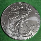 2024 W American Silver Eagle 1 Troy Oz-Brilliant Uncirculated Plus Free Shipping