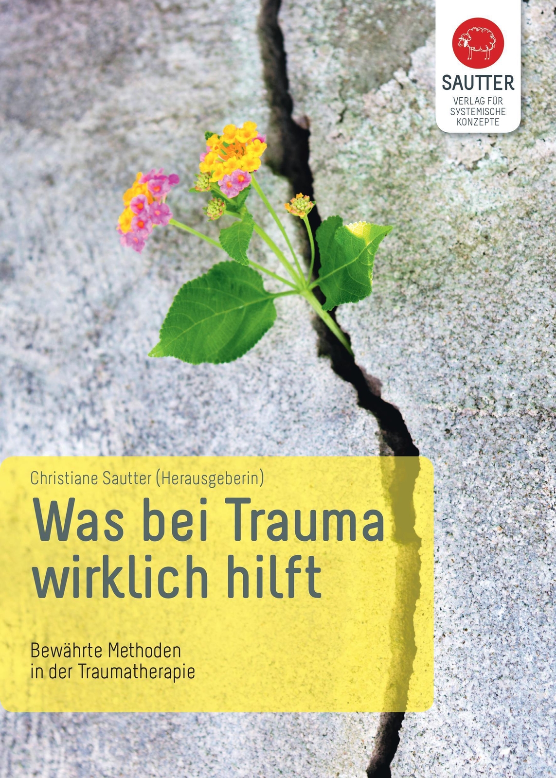 Thumbnail - Was Bei Trauma Wirklich Hilft Bewährte Methoden In Der Traumatherapie