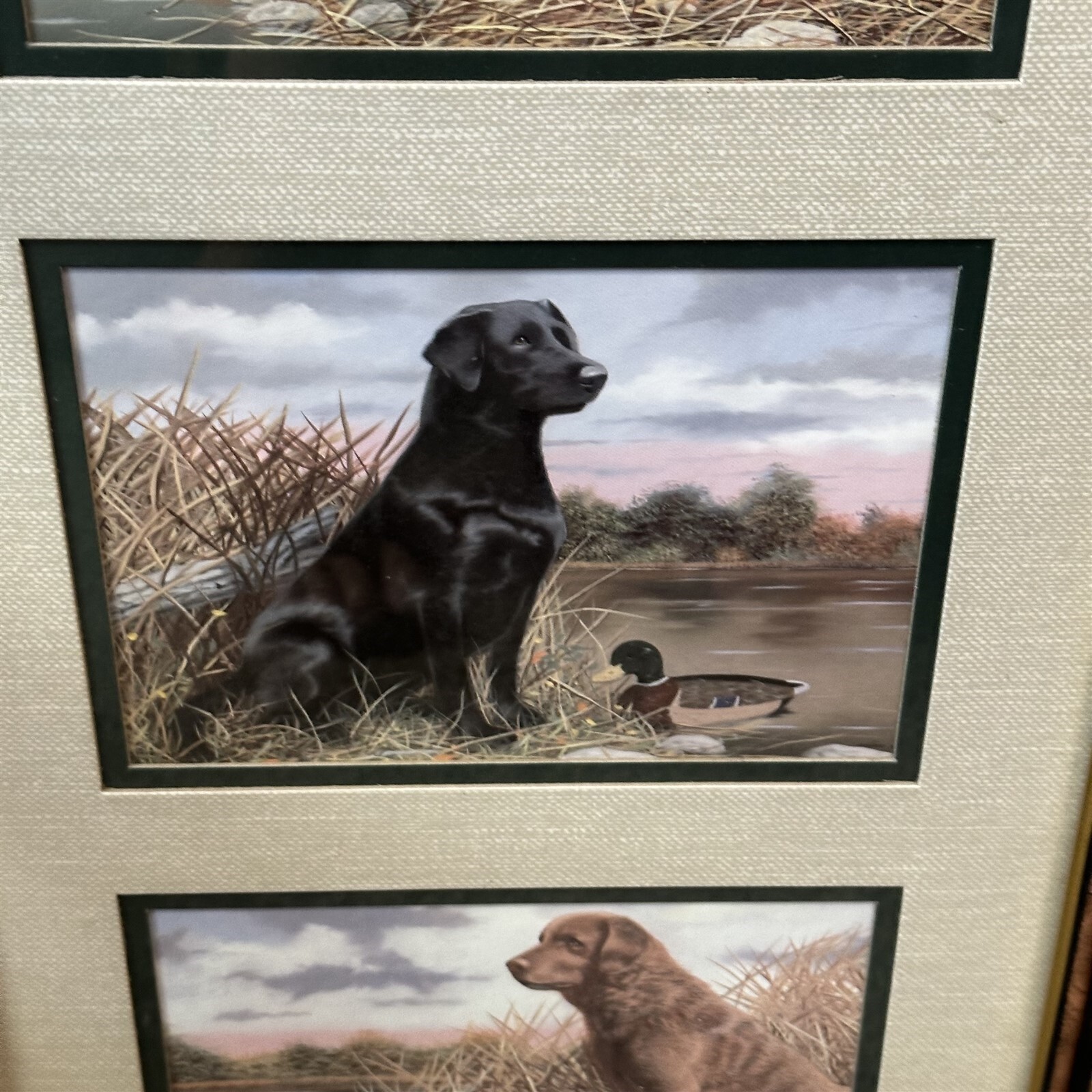 Picture 3 of 9