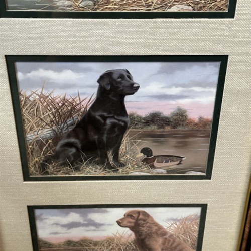 Labrador Retrievers with Duck Andrew Chapman Framed Animal Dog Print Collage - Picture 3 of 9
