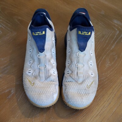 NIKE レブロン 14 LOW EP