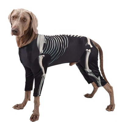Halloween Way to Celebrate Skeleton Dog Costume Pet Dog Costumes L