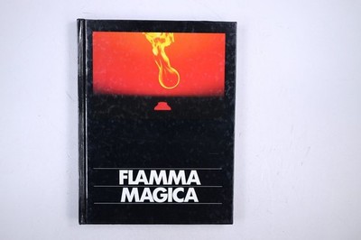128367 Anselm Spring FLAMMA MAGICA Feuer, Wärme, Licht, Frieden HC
