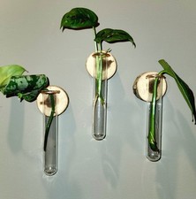 Handmade wooden 3 piece wall propagation station