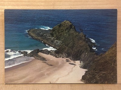 Postcard - New Zealand, The Spirits Tree Cape Reinga Northern Peninsula