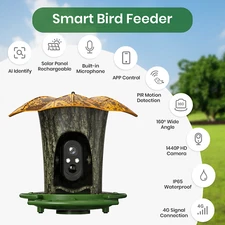Solar Smart Bird Feeder 2K Camera WiFi/4G w/ Wireless Auto Capture Record Xmas