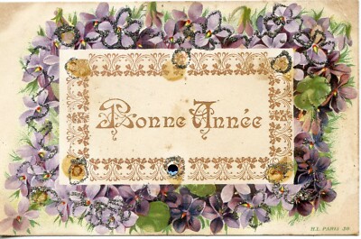 CARTE POSTALE / POSTCARD / FANTAISIE / BONNE ANNEE