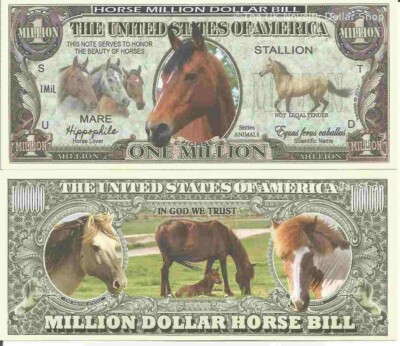 Horse Lover Hippophile Equus Ferus Caballus Million Dollar Bills x 2 Stallion