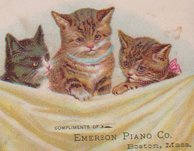 1880's  BOSTON TRADE CARD, 3 CATS or KITTENS, ADV. THE EMERSON PIANO CO.  K149