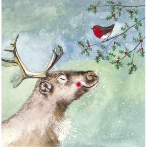 Image Is Loading Alex Clark Charity Christmas Cards Reindeer And Robin Image Is Loading Alex Clark Charity Christmas Cards Reindeer And Robin