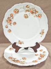 Set of 2 Mitterteich Bavaria "NORWAY ROSE" DINNER PLATES, Porcelain, Gold Trim