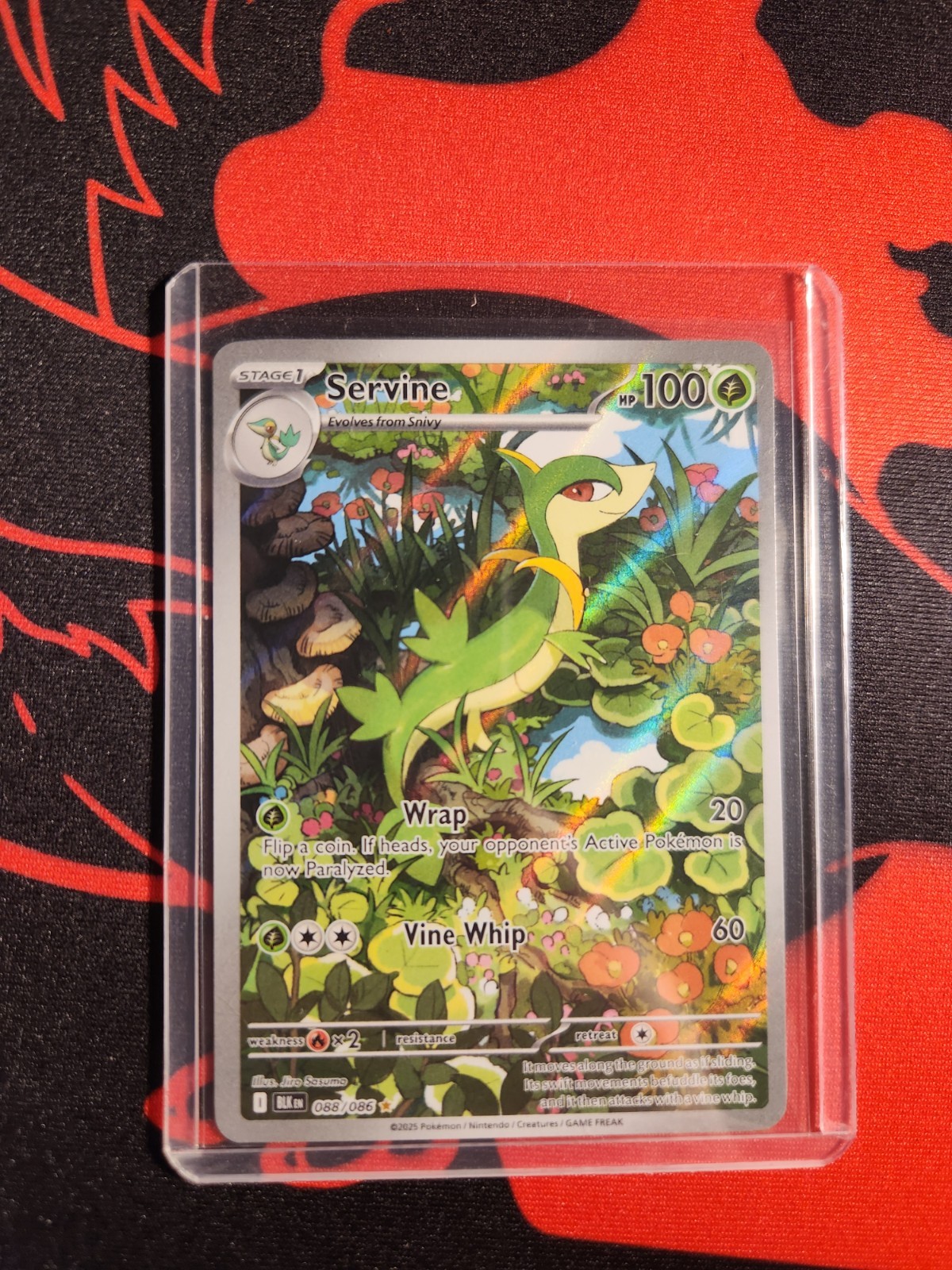 Servine - 088/086 - Illustration Rare NM English Pokemon Black Bolt