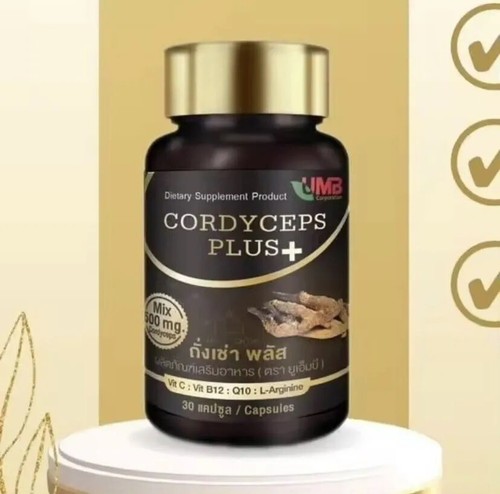 Cordyceps Sinensis & Cordyceps Militaris Extrakt: Hochkonzentriert 3x30 Kapseln - Bild 4 von 9