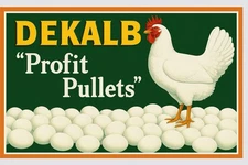 Hi Gloss! Dekalb Hens Eggs Farm Corn Vintage Style Metal Sign Advertising