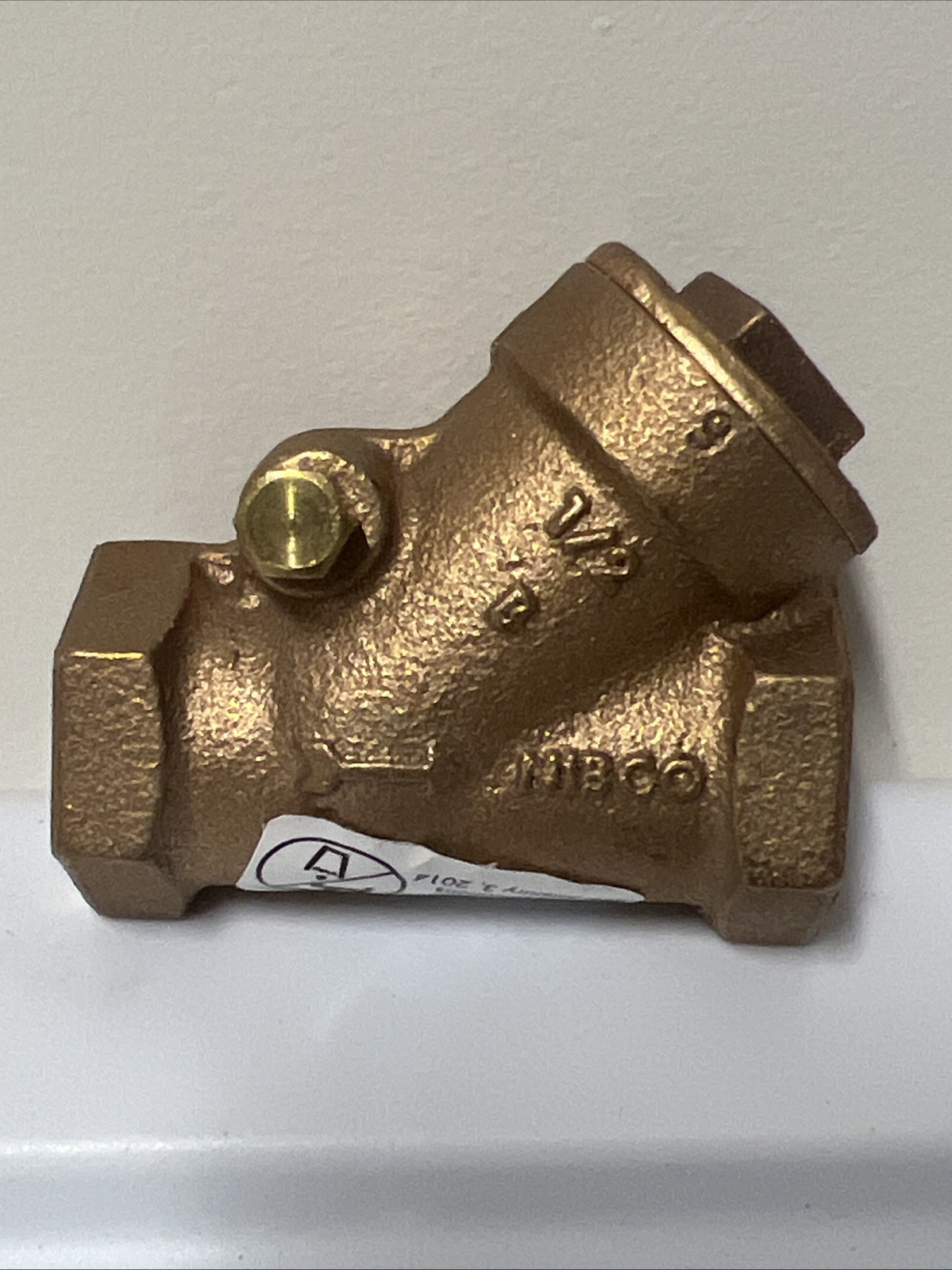 Steris / Amsco 1/2 IN. NPT Check Valve Part# P150822354 P150822 354