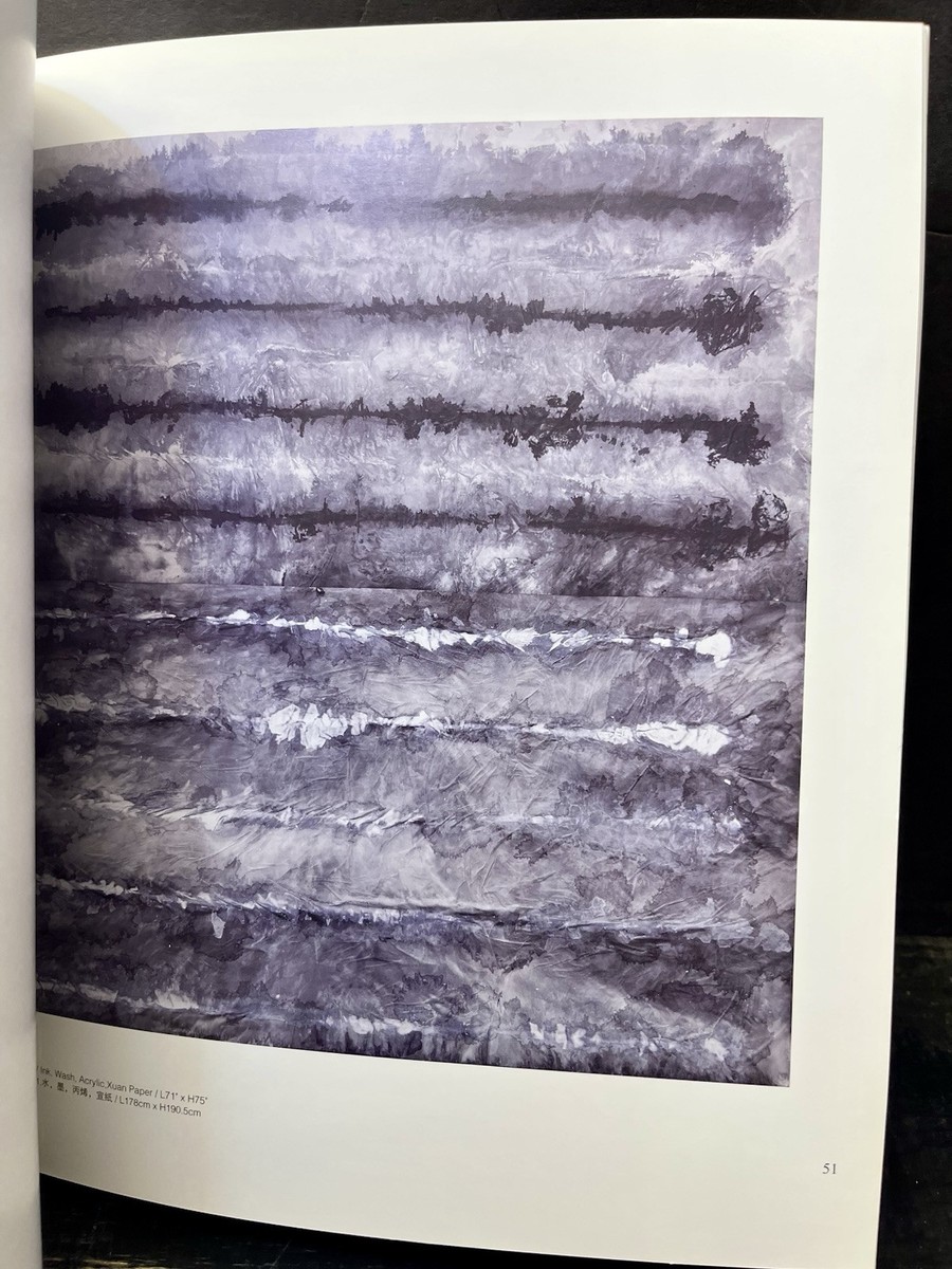 White Ink by Zheng Chongbin 2011 Softcover Like New L