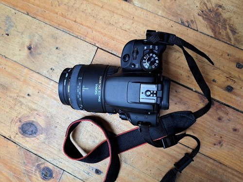 Canon EOS Digital Camera - Black Brand new - Picture 1 of 4