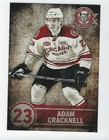 2013-14 Chicago Wolves (AHL) Adam Cracknell