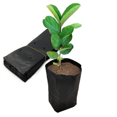Belit 100 Pcs Plant Nursery Bags, Plastic Seedling Pots 3.5''x6.6'', Black