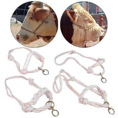 Kuhhalfter Kalb Profi Bauernhöfe Outdoor praktische Werkzeuge Nylon Stier Trense