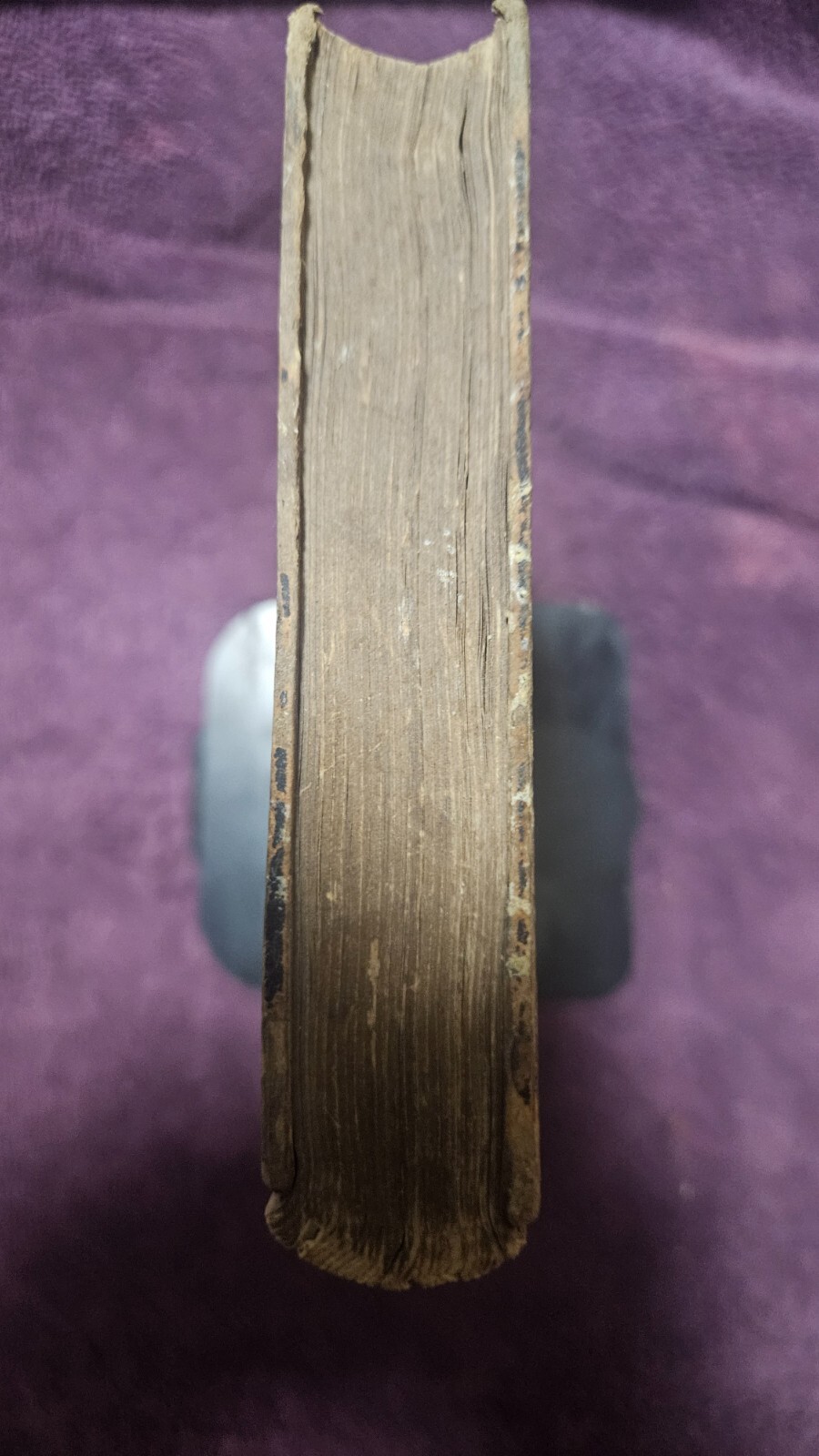 Picture 5 of 16