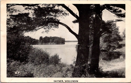 Vintage Postkarte weißer Rand Sayner Wisconsin WI See malerischer Blick Bäume - Bild 2 von 3