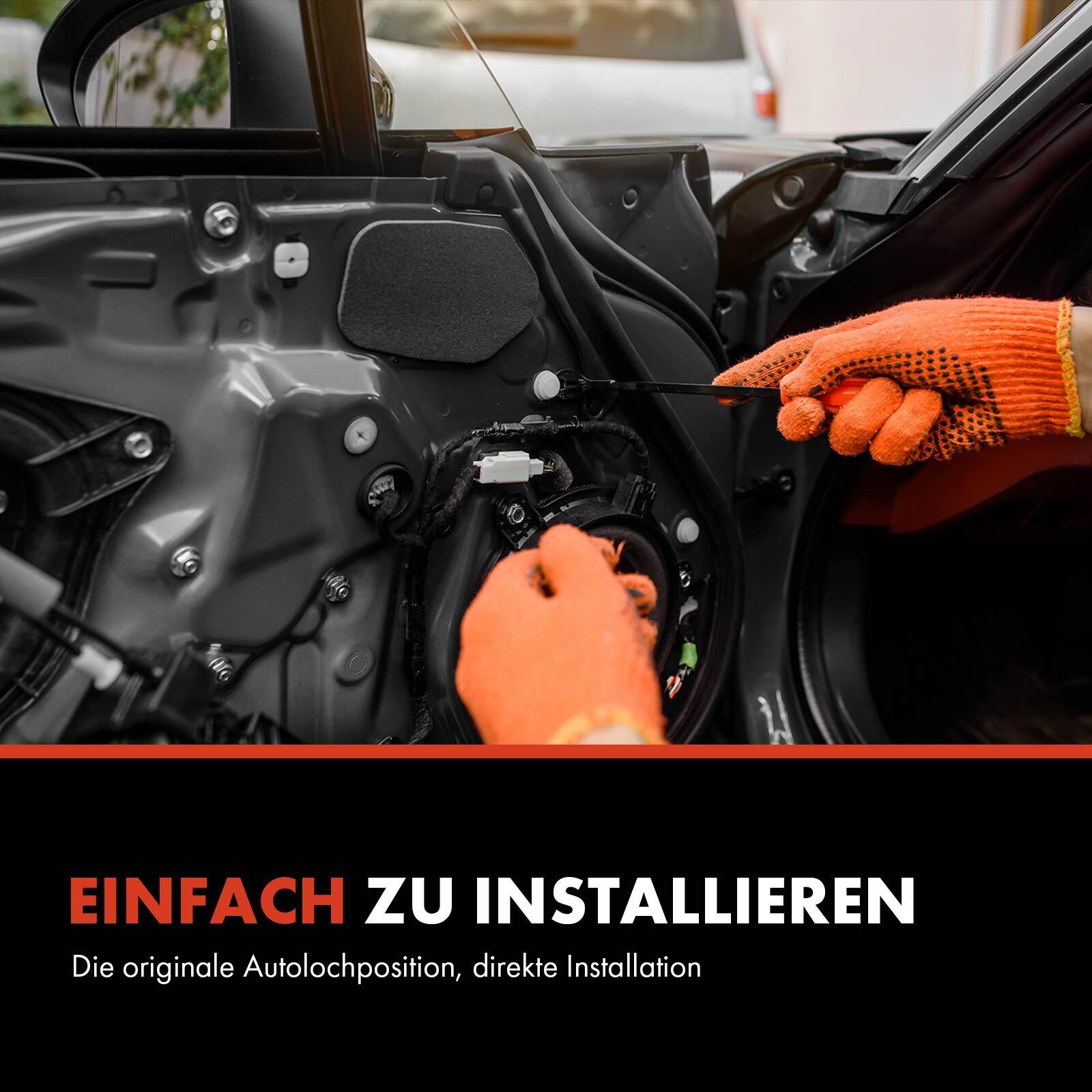 Bild 6 von 8