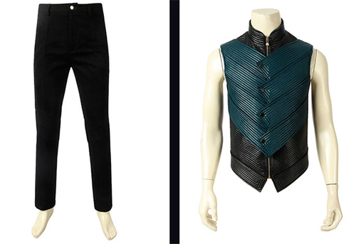 Devil May Cry 5 Vergil Windbreaker Vest Pants Gloves Suit Cosplay Costume Outfit - Picture 7 of 23