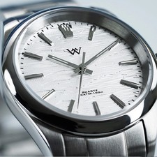  VH31 WM207 White Birch Dial Stainless 100m S...