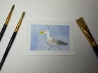 Original ACEO - Watercolor grumpy seagull with blue background by finns.paints — photo 2