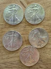 2014 $1 American Silver Eagle 1 oz .999 Silver Secondary Market Good Condtion