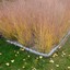 Bild 5 von 9
