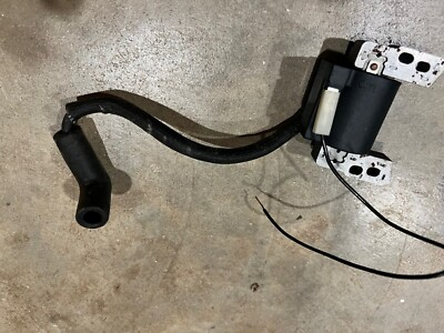 #ad Magneto ONLY Assembly for Craftsman 580.752441 4 Cycle Gas Pressure Washer Motor $25.00