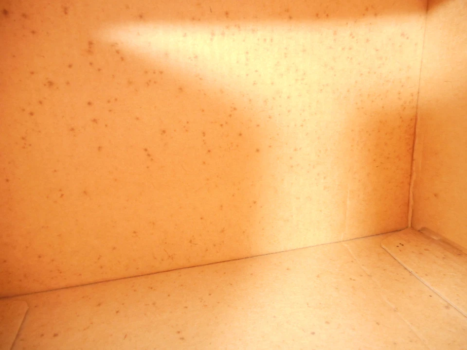 BOX For Ertl 1905 Ford Delivery Car Bank Montgomery Ward #9230 NO TOY, BOX ONLY - Image 4 of 4