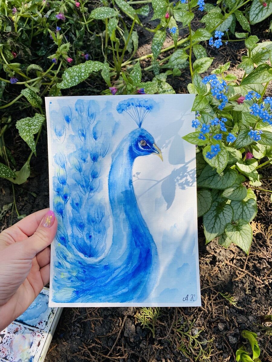 Original watercolor Peacock painting bird artwork Peacock Original watercolor Peacock painting bird artwork Peacock