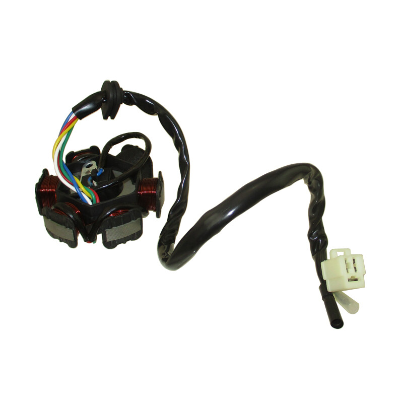 Stator Magnete 6 Poli Per GY6 50cc 110cc 150cc Scooter Moped ATV, TWOM, Nuovo