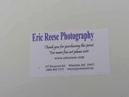 Eric Reese Photography Jellyfish 2007 signed fine print Whitefish MT 7.5" x 9.5" - Picture 5 of 5