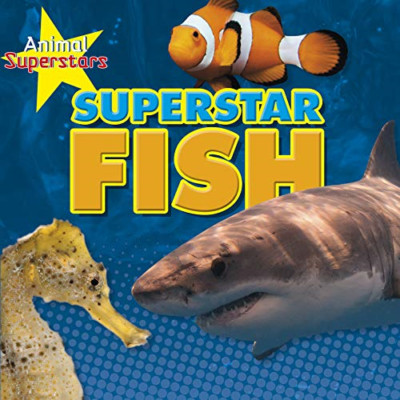 Fish Superstars (Animal Superstars) - Paperback / softback NEW Spilsbury, Loui 1