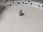 Dug Civil War era Starr Carbine bullet