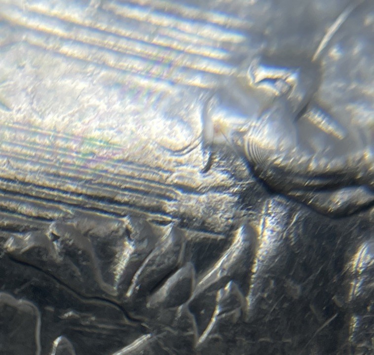 Picture 4 of 5