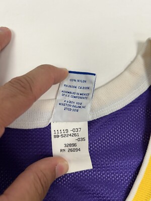 Vintage Los Angeles Lakers Eddie Jones #6 Size 44 Large Champion