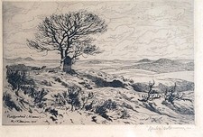 Hans Richard von Volkmann (1860-1927): Radierung "Reifferscheid (Adenau)"