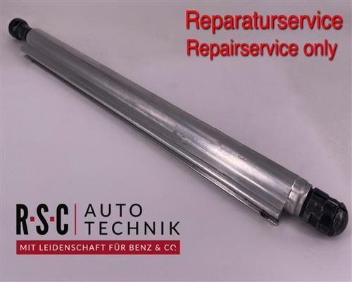 REPARATURSERVICE: Hydraulikzylinder 497871503 (Lamborghini Gallardo)