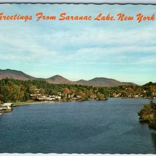 c1960s Saranac Lake, NY Greetings Birds Eye Village House Flower River PC A235