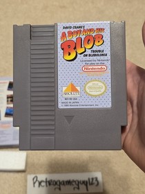 A Boy And His Blob (Nintendo Nes) Authentic Complete NES Box